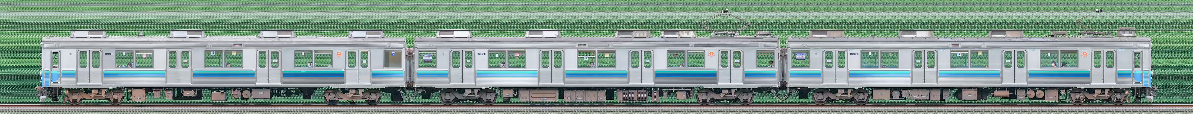 伊豆急8000系TB-1編成（海側）の編成サイドビュー