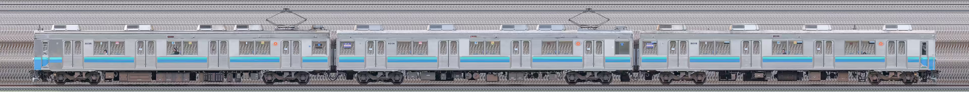 伊豆急8000系TA-6編成(海側)の編成サイドビュー