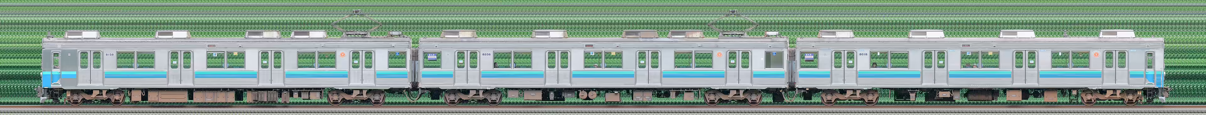 伊豆急8000系TA-8編成（海側）の編成サイドビュー