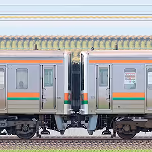 JR東海静岡車両区211系5000番台LL19編成＋211系6000番台GG6編成（海側）