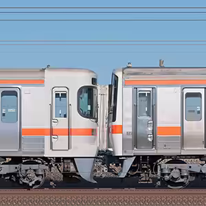 JR東海大垣車両区313系1100番台J5編成+311系G15編成(海側)