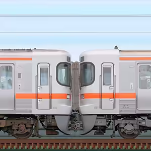 JR東海静岡車両区313系2300番台W8編成+2500番台T4編成(海側)