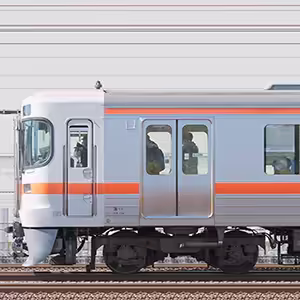 JR東海大垣車両区313系5000番台Y117編成(山側)