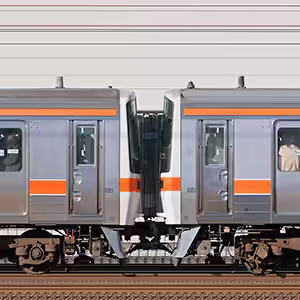 JR東海311系1次車G5編成＋2次車G6編成（山側）