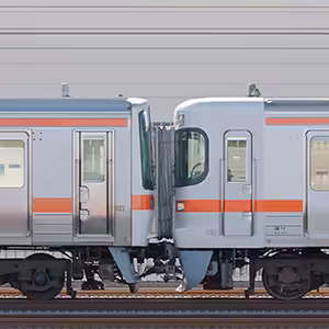 JR東海大垣車両区311系G7編成+313系Y6編成(山側)