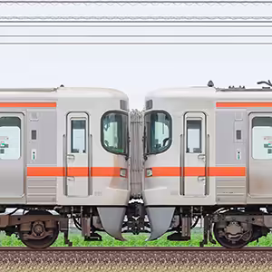 JR東海静岡車両区313系2300番台W8編成+W4編成(山側)