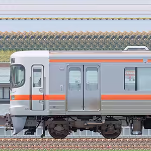 JR東海静岡車両区313系2600番台N5編成(海側)