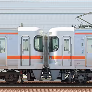 JR東海大垣車両区313系1100番台J1編成+300番台Y35編成+3000番台R116編成(山側)