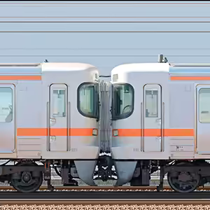 JR東海大垣車両区313系1600番台J161編成+1500番台J152編成+5300番台Z4編成(山側)