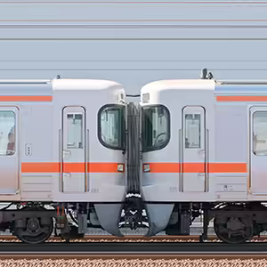 JR東海大垣車両区313系1700番台J173編成+1500番台J151編成(山側)