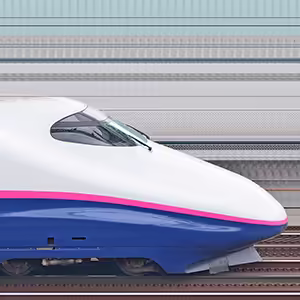 JR東日本E2系E223-1019