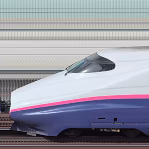 JR東日本E2系E224-1114