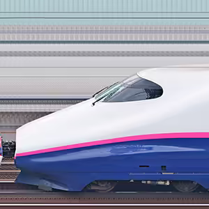 JR東日本E2系E224-1119