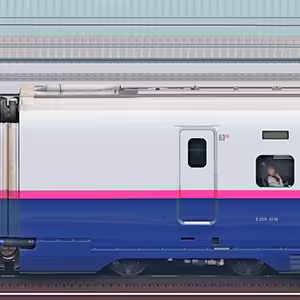 JR東日本E2系E225-1019