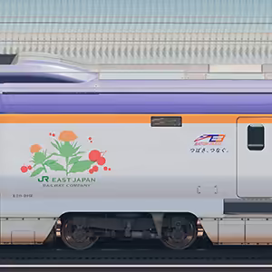JR東日本E3系2000番台L72編成(「つばさ、つなぐ。」プロジェクトロゴラッピング)+E5系U9編成(山側)