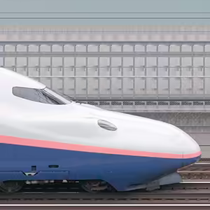 JR東日本E4系「Max」E453-112（2020年）