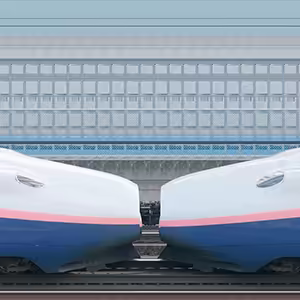 JR東日本E4系「Max」新潟新幹線車両センターP81編成＋P82編成（山側）