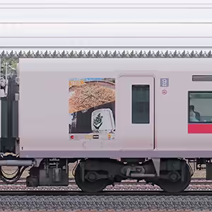 JR東日本E657系モハE656-14『東北デスティネーションキャンペーン』ラッピング