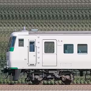 JR東日本大宮総合車両センター185系C1編成（山側）