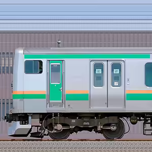 JR東日本 国府津車両センター E231系K-01編成(海側)