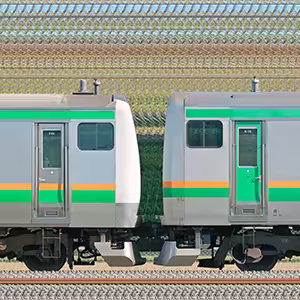 JR東日本 国府津車両センター E233系E-66編成＋E231系K-15編成（線路設備モニタリング装置搭載編成）（山側）