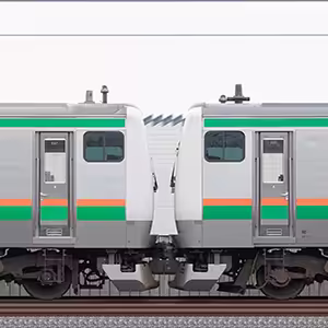 JR東日本 国府津車両センター E233系E-67編成＋E-01編成（山側）