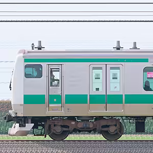 JR東日本 埼京線 E233系7000番台ハエ110編成（山側）