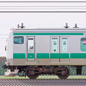 JR東日本 埼京線 E233系7000番台ハエ117編成（線路設備モニタリング装置搭載編成・山側）