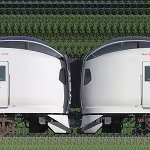 JR東日本 E259系「成田エクスプレス」Ne008編成＋Ne004編成（山側）