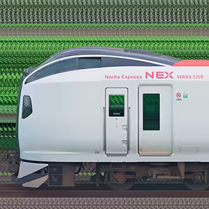 JR東日本 E259系「成田エクスプレス」Ne008編成（海側）