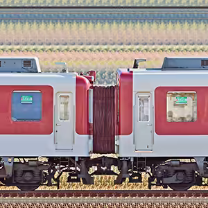 近鉄2410系W19・2419編成＋9200系FC51・9202編成（南側）