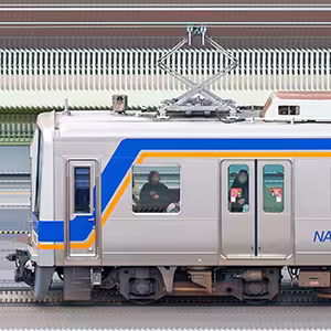 南海2000系2039編成（海側）