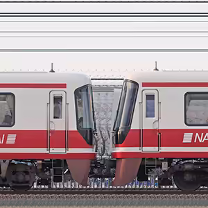 南海31000系31001編成＋11000系11001編成「りんかん」（山側）