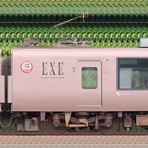 小田急30000形ロマンスカー「EXE」30255×6(箱根そば60周年記念マーク・山側)