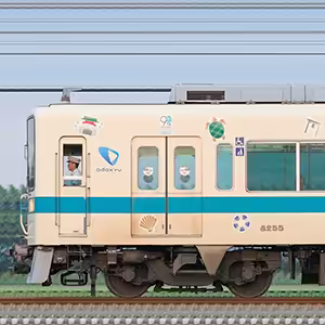 小田急8000形8255×6「江ノ島線開業90周年トレイン」（山側）