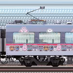 西武10000系「ニューレッドアロー」モハ10212「カナヘイの小動物 ゆるっと小旅 西武鉄道で行く川越旅号」