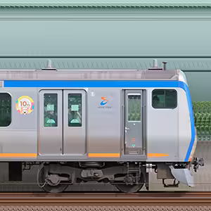 相鉄11000系クハ11001「十代目そうにゃんトレイン」