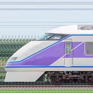 東武100系「スペーシア」105編成(雅カラー・山側)