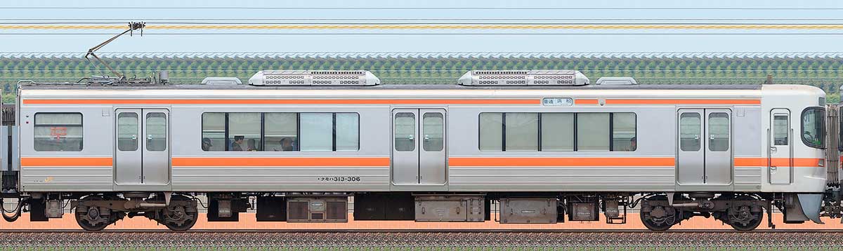 JR東海313系クモハ313-306海側の側面写真