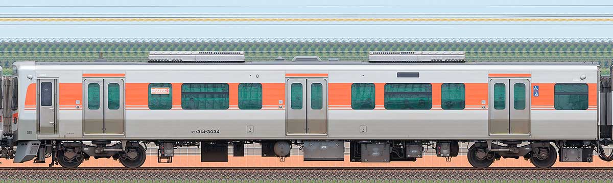 JR東海315系クハ314-3034海側の側面写真