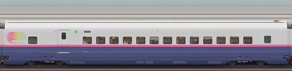 JR東日本E2系E215-1009山側の側面写真