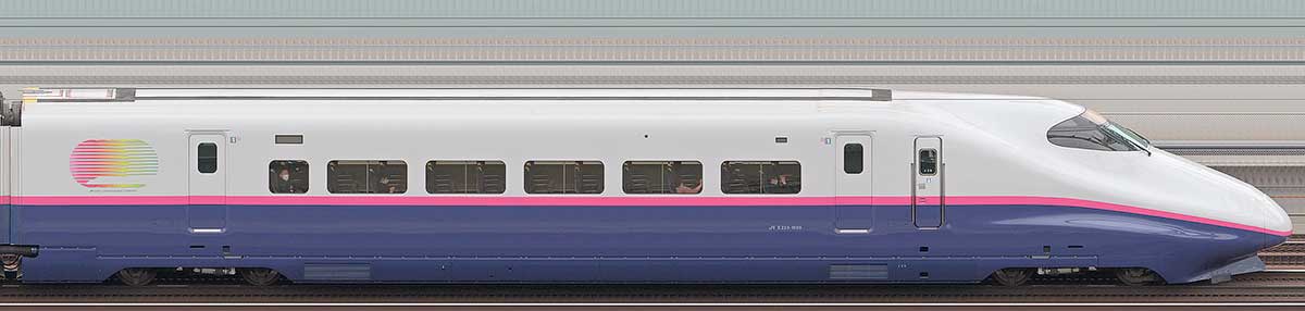 JR東日本E2系E223-1009山側の側面写真