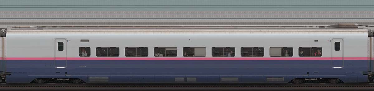 JR東日本E2系E225-1016山側の側面写真