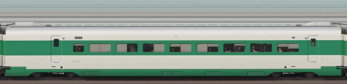 JR東日本E2系E225-1116（200系カラー）山側の側面写真