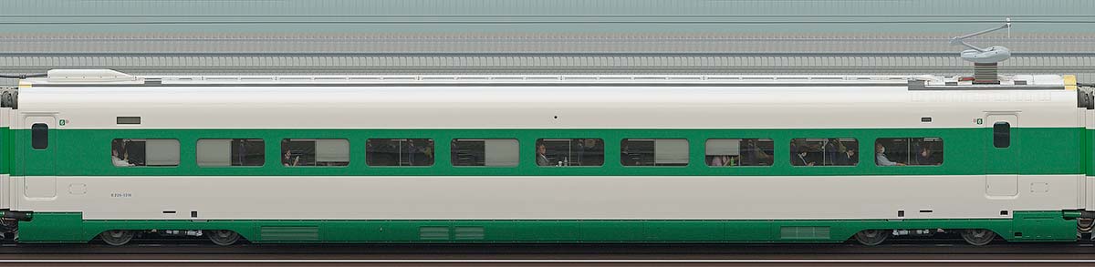 JR東日本E2系E226-1316（200系カラー）山側の側面写真