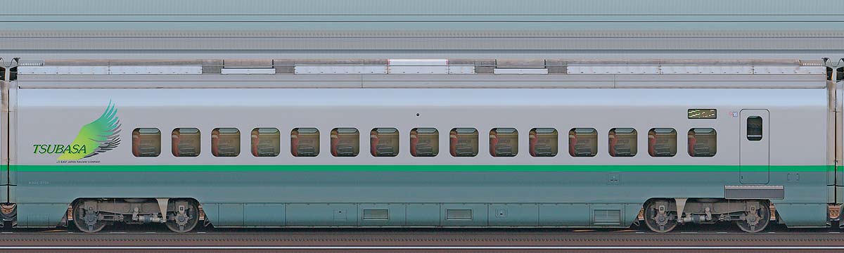 JR東日本E3系2000番台E325-2005（シルバーカラー）山側の側面写真