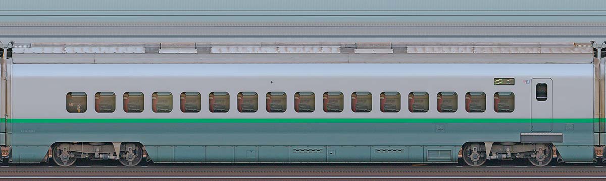 JR東日本E3系E328-2005（シルバーカラー）山側の側面写真