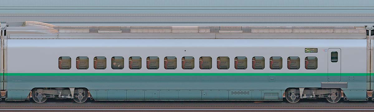 JR東日本E3系E329-2005（シルバーカラー）山側の側面写真