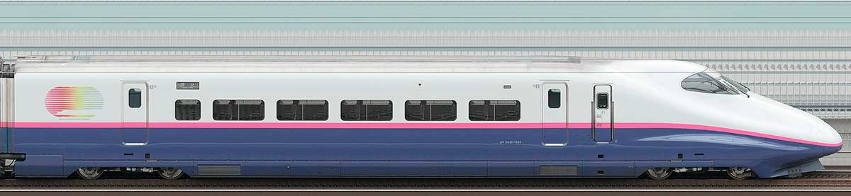 JR東日本E2系E223-1024山側の側面写真