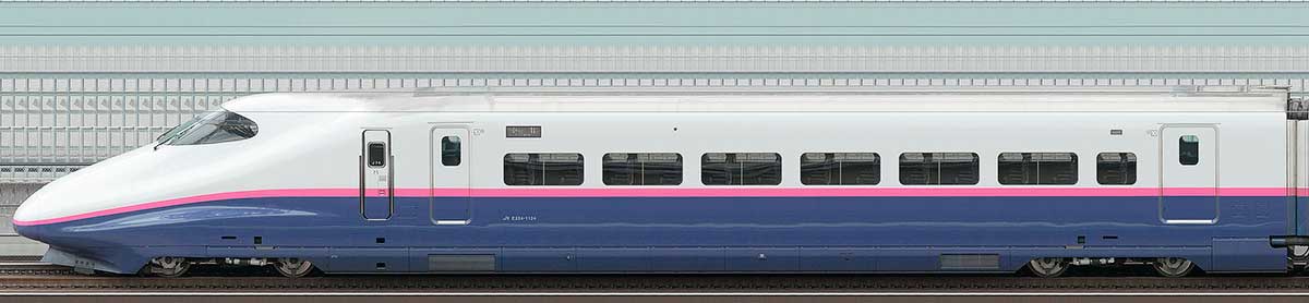 JR東日本E2系E224-1124山側の側面写真